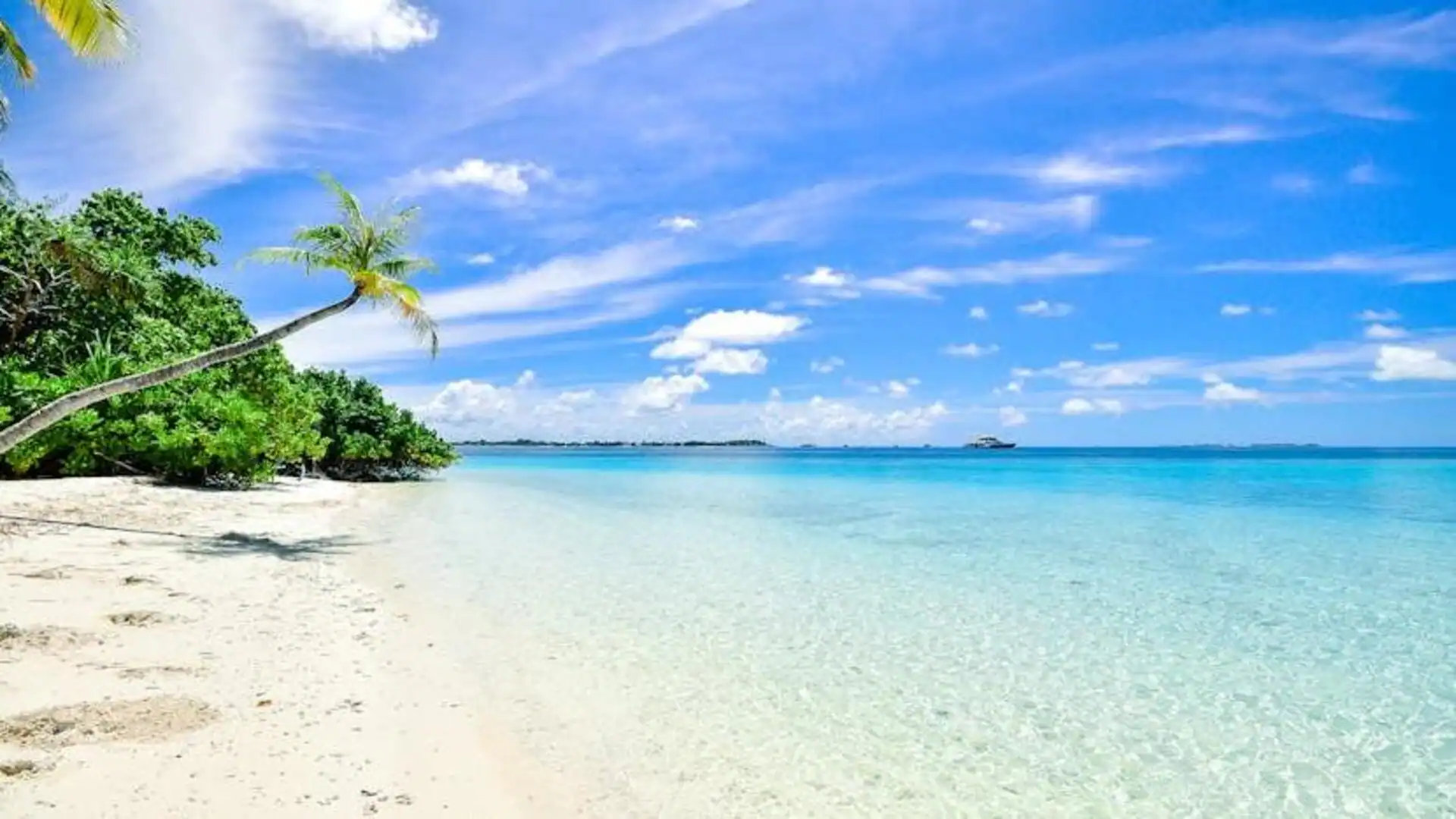 Beach Escapes